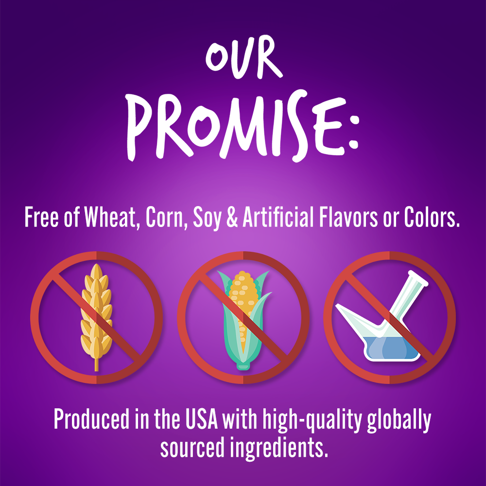 Fruitables Pumpkin & Blueberry Mix Dog Treats (8x7 Oz)