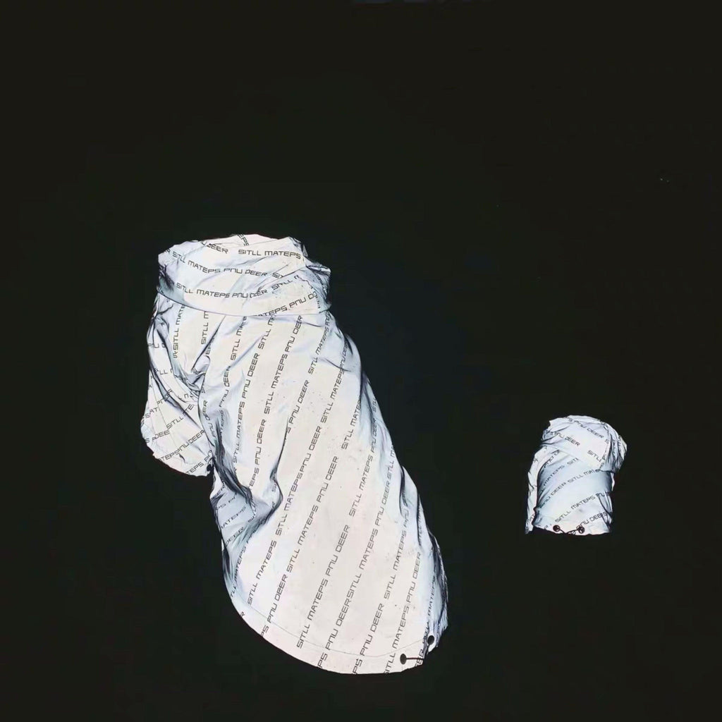 Weatherproof Reflective Dog Jacket - High-Visibility Safety Coat for Outdoor Adventures