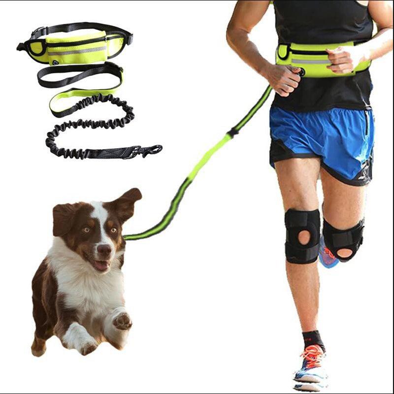 Hands-Free Dog Leash Belt - Walk, Jog & Hike with Your Pup Unleashed (Well, Sort Of!)