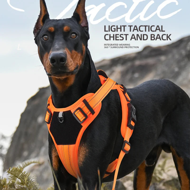 Adventure Harness - No-Pull Reflective Dog Harness for Trail Explorers