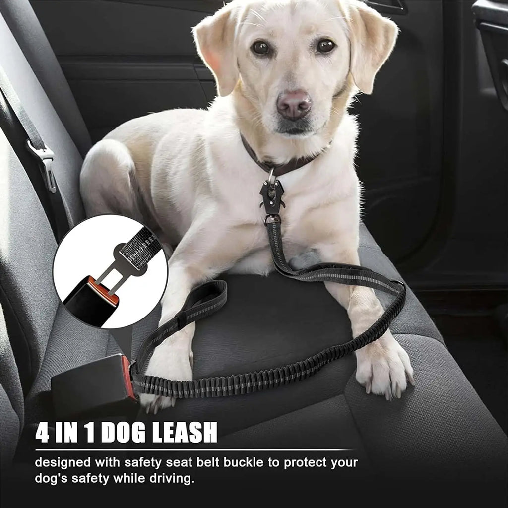 Bungee Leash - Reflective No-Pull Shock Absorbing Leash for Large Dogs