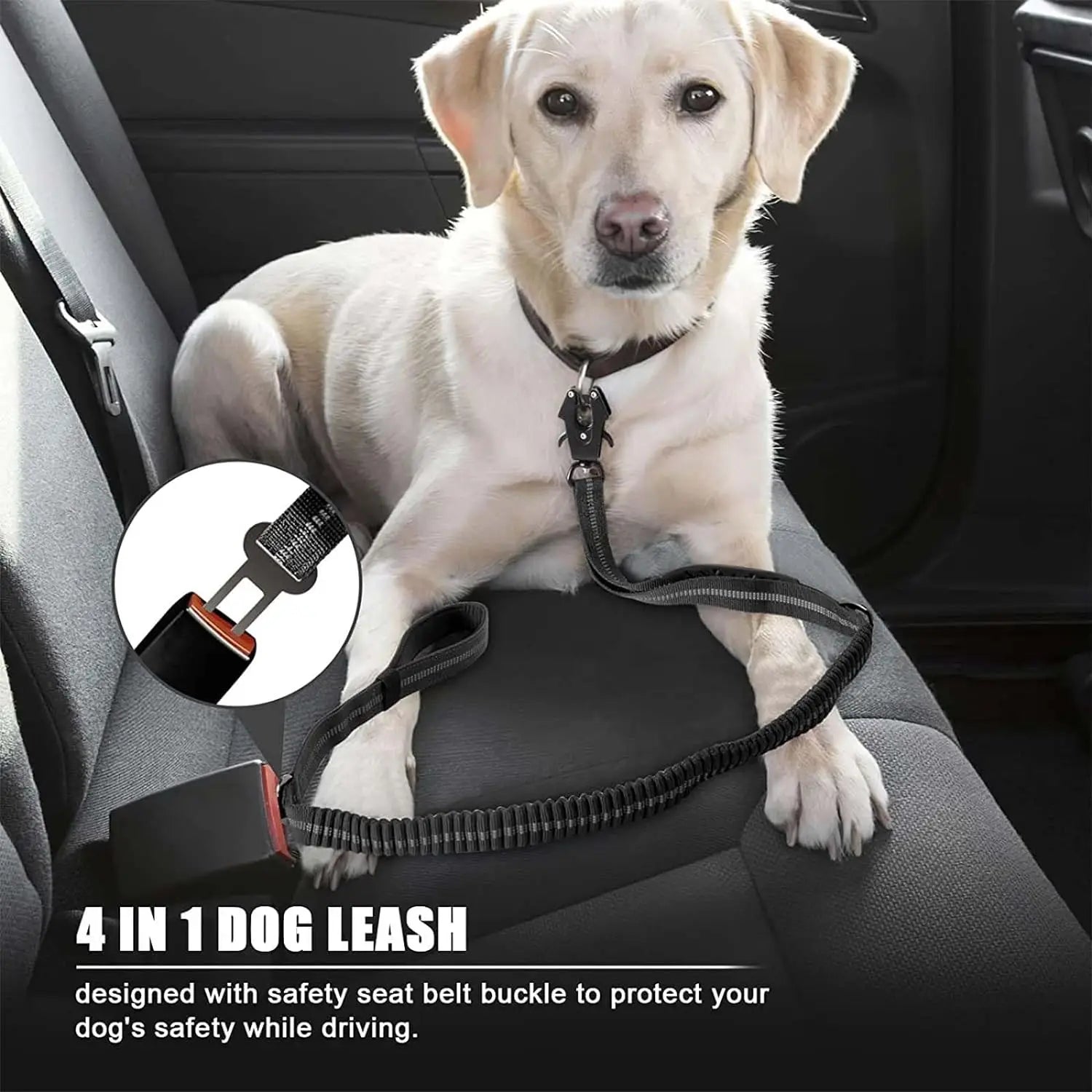 Bungee Leash - Reflective No-Pull Shock Absorbing Leash for Large Dogs