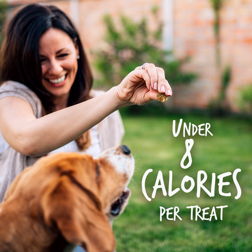 Fruitables Pumpkin & Blueberry Mix Dog Treats (8x7 Oz)